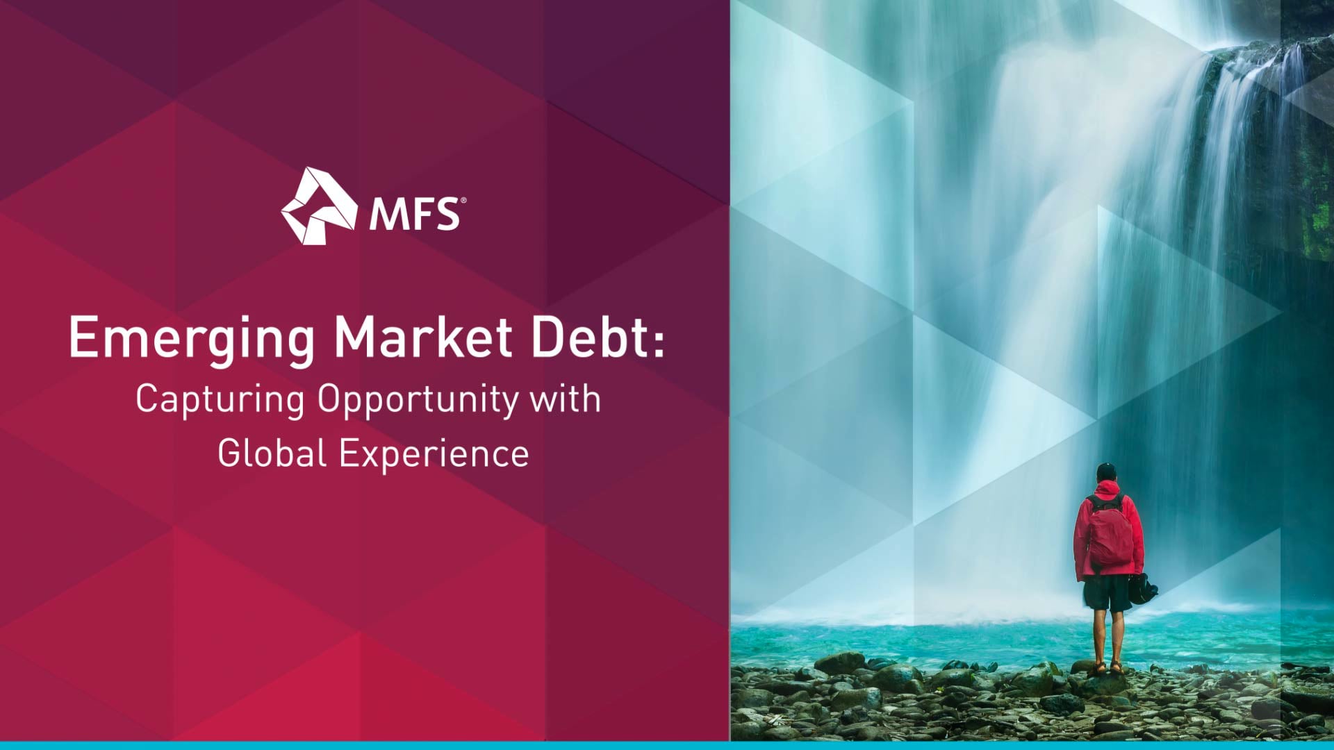 Emerging Markets Debt