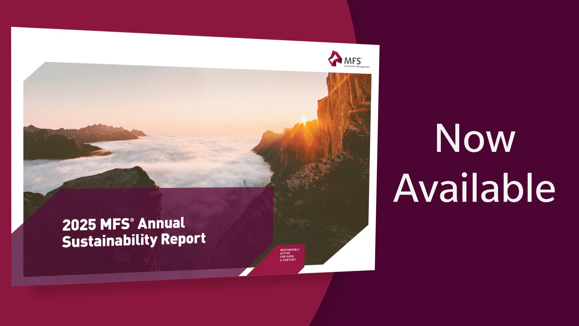 2024 MFS Sustainability Approach